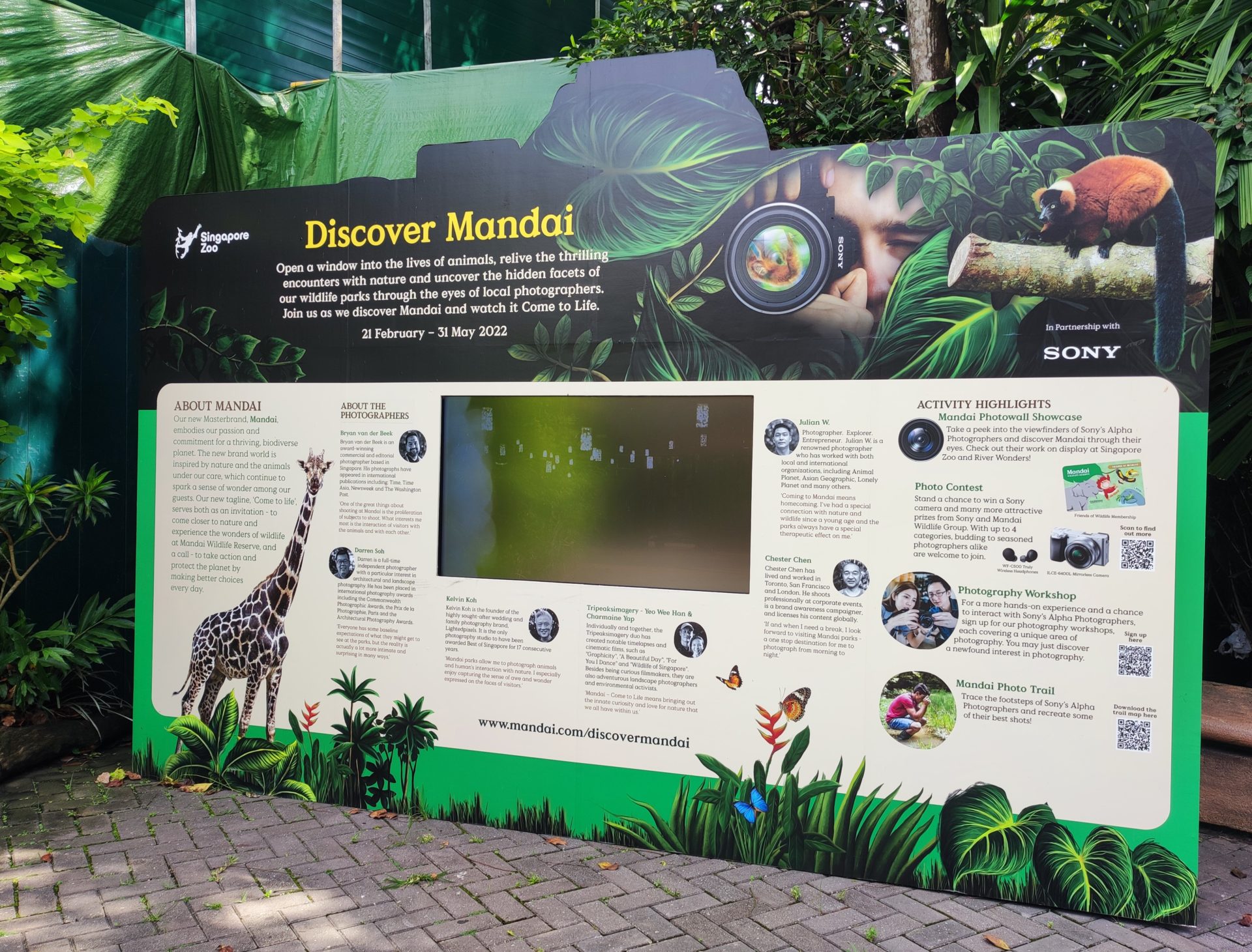 Discover Mandai at Singapore Zoo and River Wonders with Sony - The Tech ...