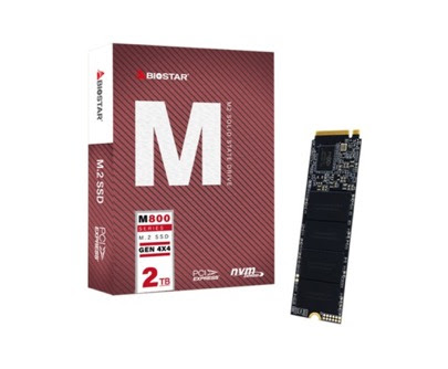 BIOSTAR M800 SSD 1