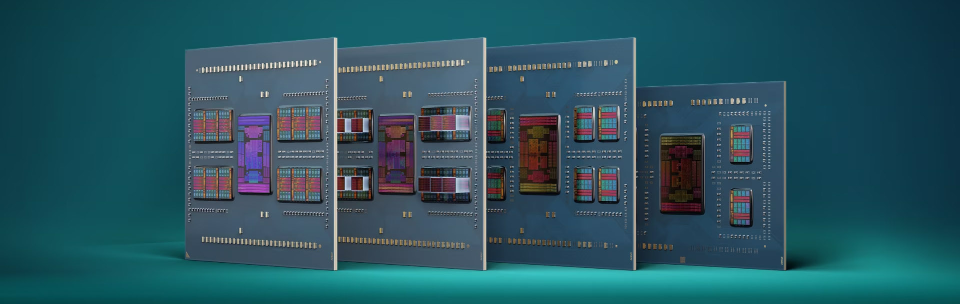 AMD EPYC 8004 1