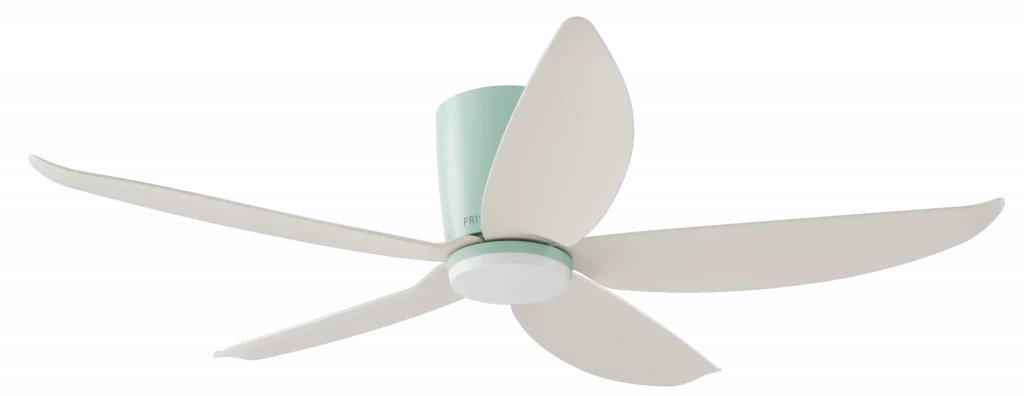 PRISM+_OasisPro_All green - cream