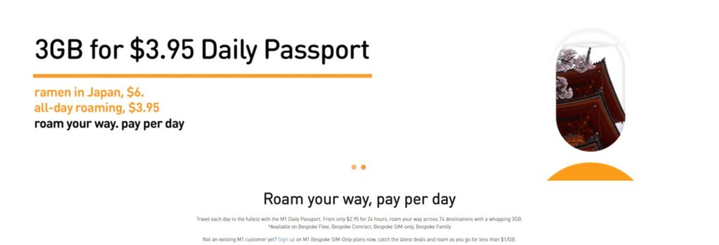 M1 Daily Passport