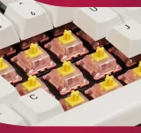 Mechanical keyboard switch pioneer CHERRY has announced the availability of its new MX Blossom switch, a community-driven addition to its evolving lineup of custom-designed switches. Joining the MX Northern Light, MX Falcon, and MX Petal, the MX Blossom continues Cherry’s mission to refine the tactile and linear feel that defines its legacy, while catering to the booming custom keyboard market. Designed as a linear switch, the MX Blossom offers 35g of actuation force, 2mm pre-travel, and 3.8mm total travel, making it lighter and slightly faster than the classic MX Red, which requires 45g with a 4mm total travel. Unlike long-pole designs that produce a louder pop, the MX Blossom’s shorter structure is closer to the MX Speed, allowing for quick bottom-out without excessive noise. Manufactured using Cherry’s MX2A process, the switch delivers smoother keystrokes, reduced stem wobble, and a fuller sound profile. Each switch comes pre-lubed and features a barrel-shaped spring for consistent pressure, complemented by a pink-and-white aesthetic inspired by sakura blossoms. The MX Blossom is priced at €19.99 per box of 36 switches and is now available on Cherry’s official website, with wider retail availability expected through regional keyboard vendors soon.
